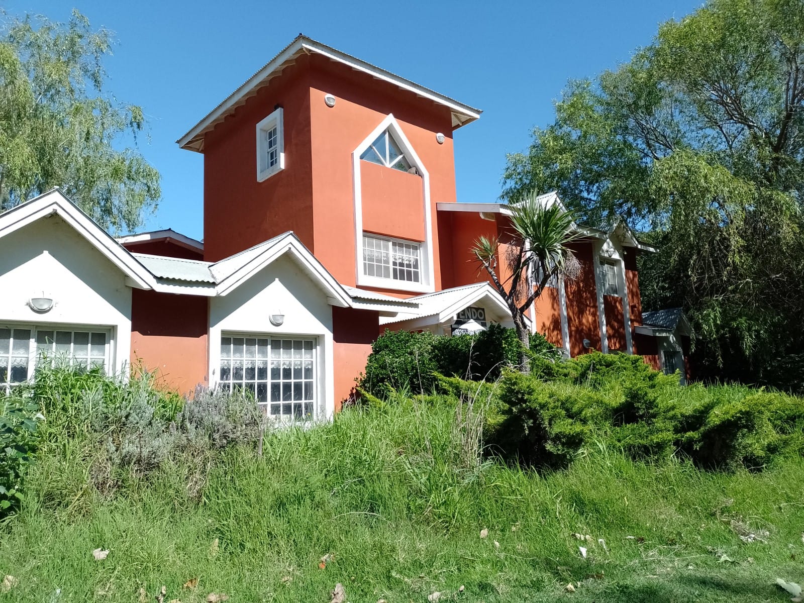 WhatsApp Image 2025-05-16 at 16.30.12.jpeg